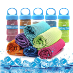TOWEL SPORT IN LIGHT AND REFRESHING MICROFIBER WITH BAG FOR GYM YOGA RUNNING